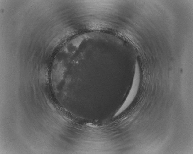 X0000088590547200706081330