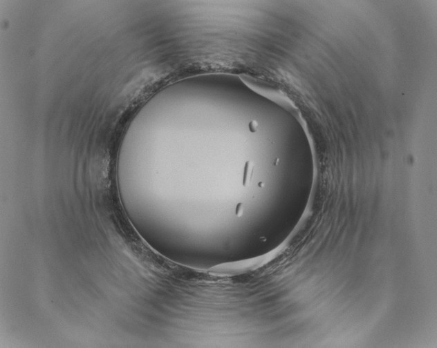 X0000088590548200706081330