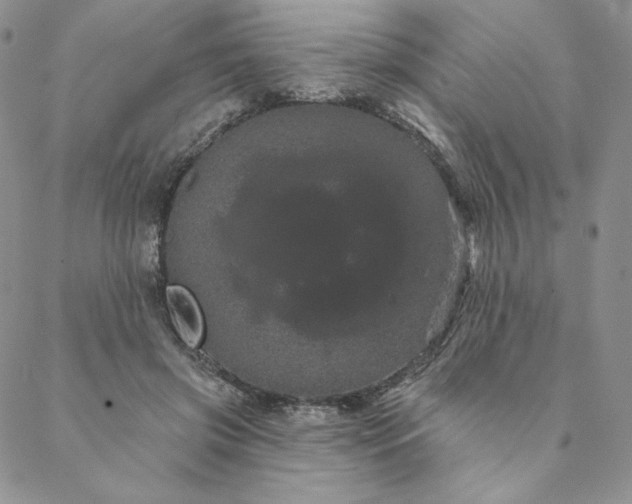 X0000088590549200706081330