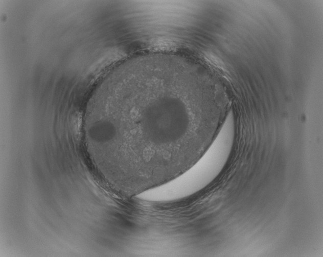 X0000088590550200706081330