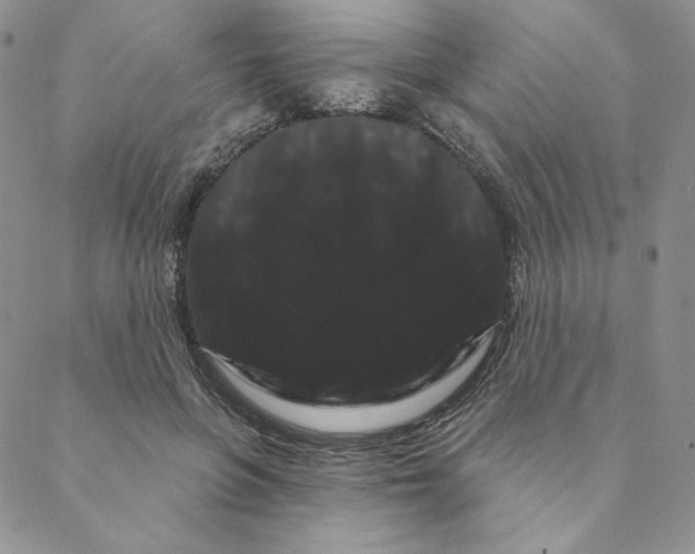 X0000088590551200706081330