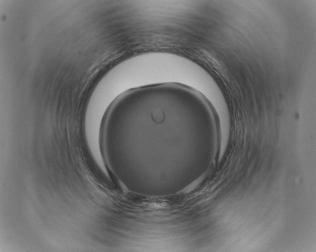 X0000088590552200706081330