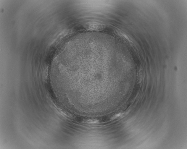 X0000088590554200706081330