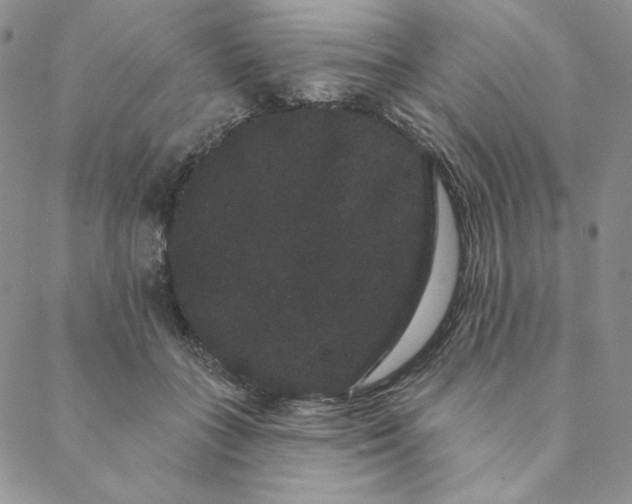 X0000088590555200706081330