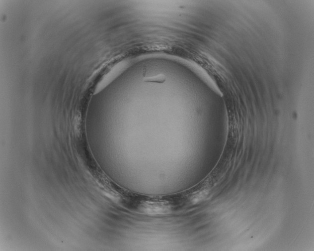 X0000088590556200706081330