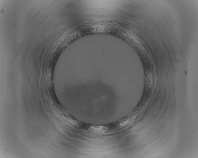 X0000088590557200706081330