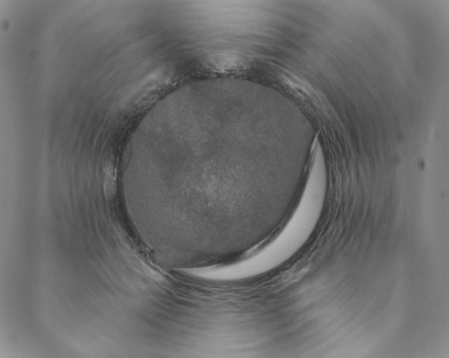 X0000088590558200706081330