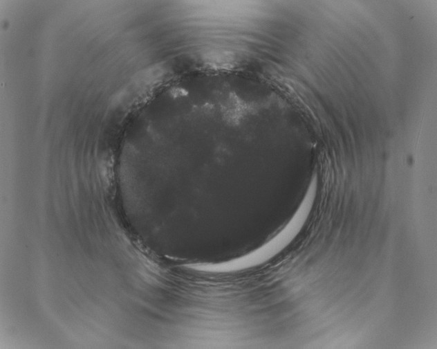 X0000088590559200706081330