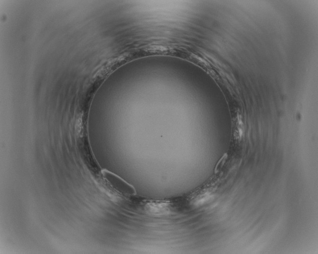 X0000088590560200706081330