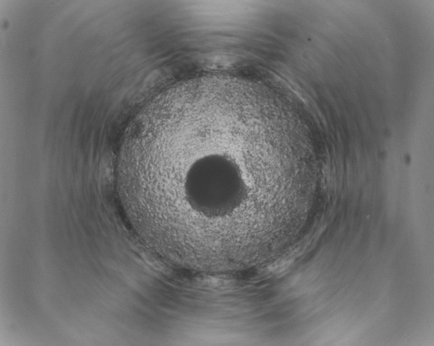 X0000088590561200706081330