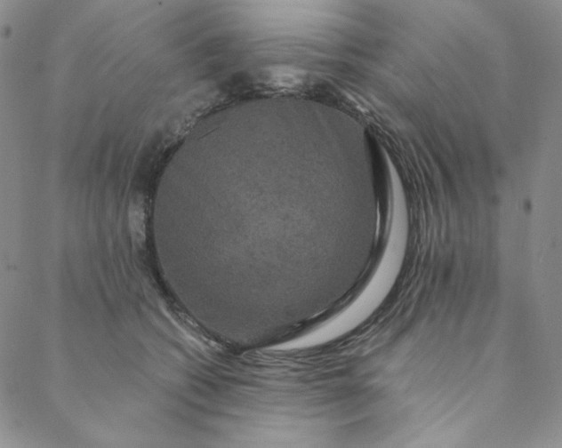 X0000088590562200706081330