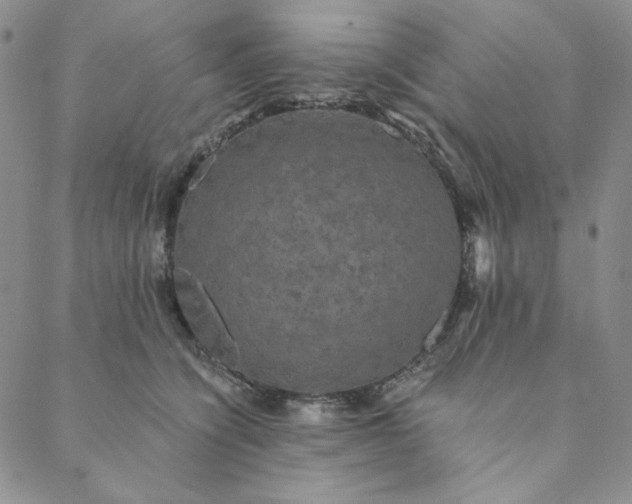 X0000088590564200706081331