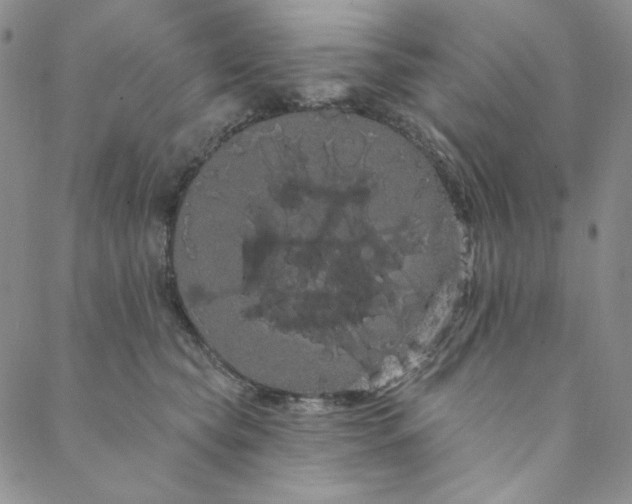 X0000088590565200706081331