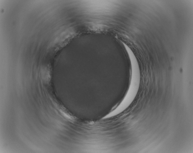 X0000088590566200706081331