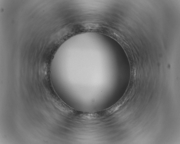 X0000088590567200706081331