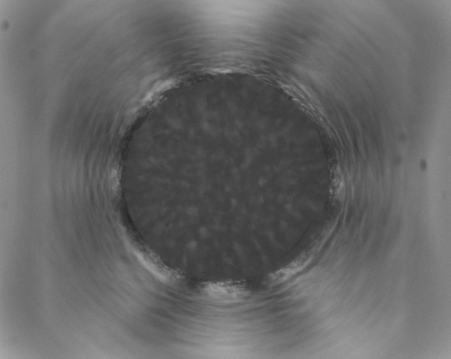 X0000088590568200706081331