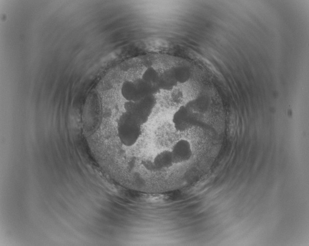 X0000088590569200706081331