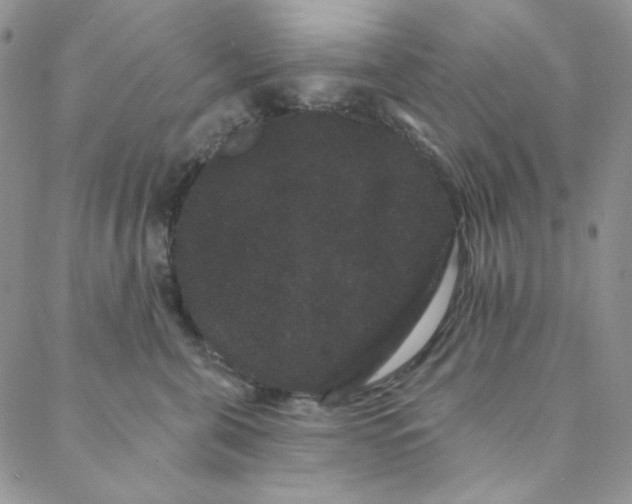 X0000088590571200706081331