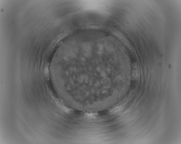 X0000088590573200706081331