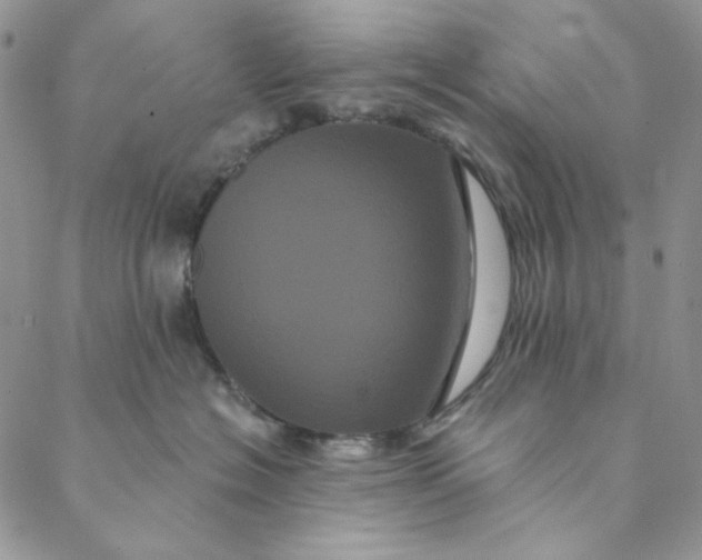 X0000088590574200706081331