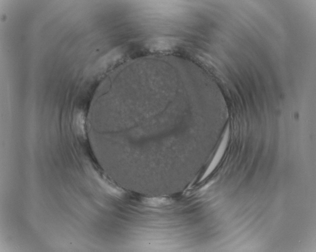 X0000088590575200706081331