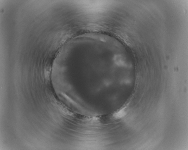 X0000088590576200706081331