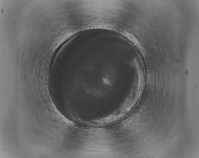 X0000088590577200706081330