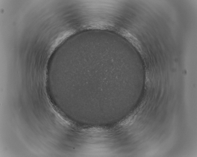 X0000088590578200706081330