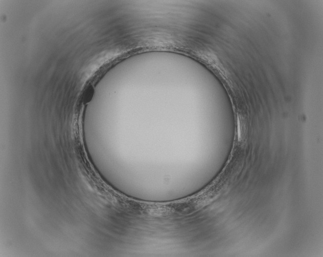 X0000088590579200706081330