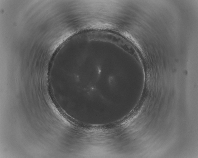 X0000088590581200706081330