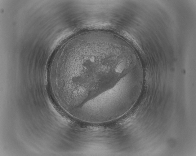 X0000088590582200706081330