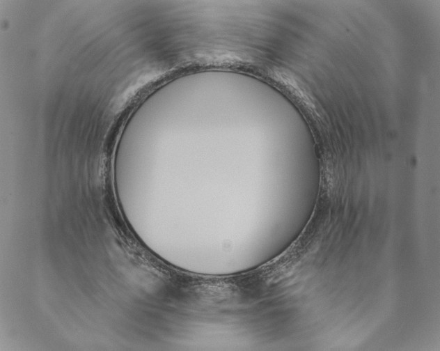 X0000088590583200706081330