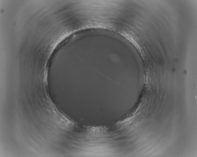 X0000088590584200706081330