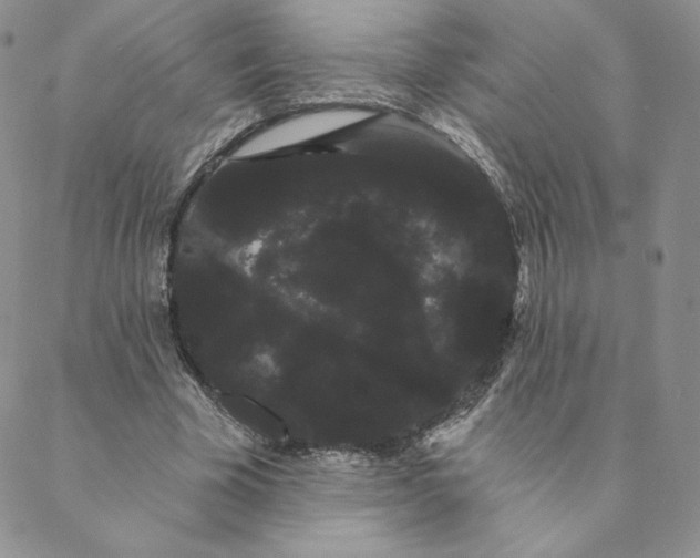 X0000088590585200706081330