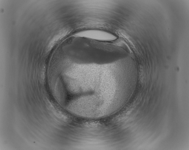 X0000088590586200706081330