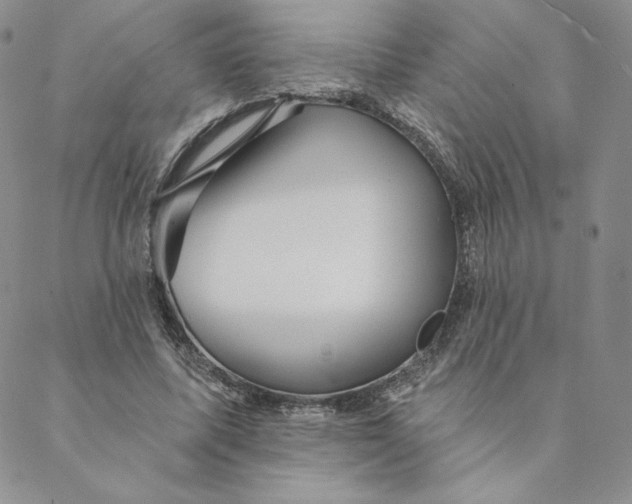 X0000088590587200706081330