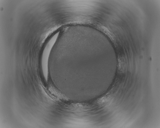 X0000088590588200706081330