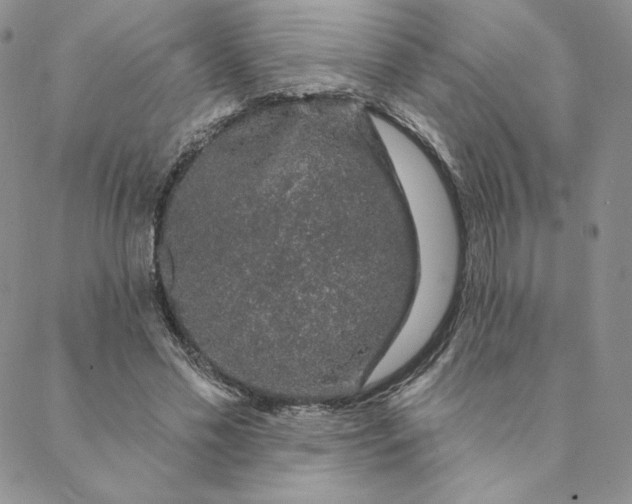 X0000088590589200706081330