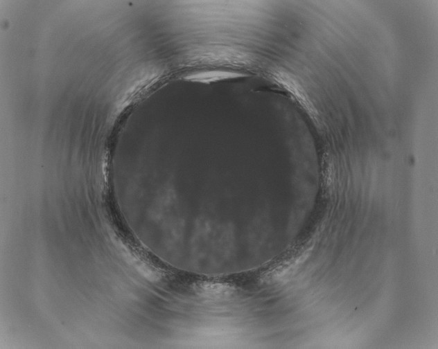 X0000088590590200706081330