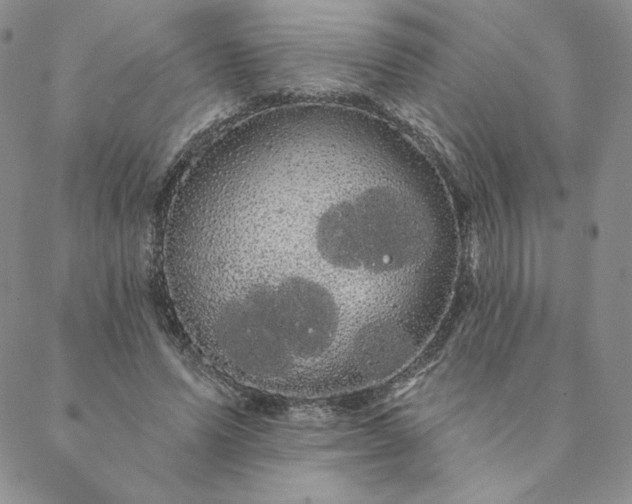 X0000088590591200706081330