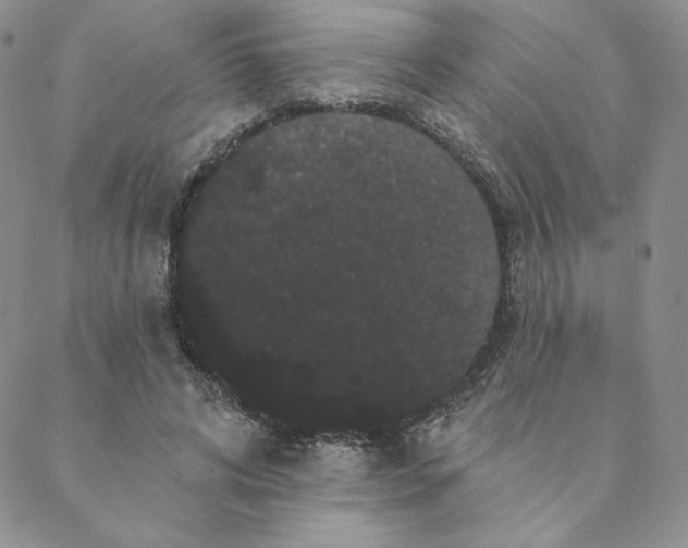 X0000088590592200706081330