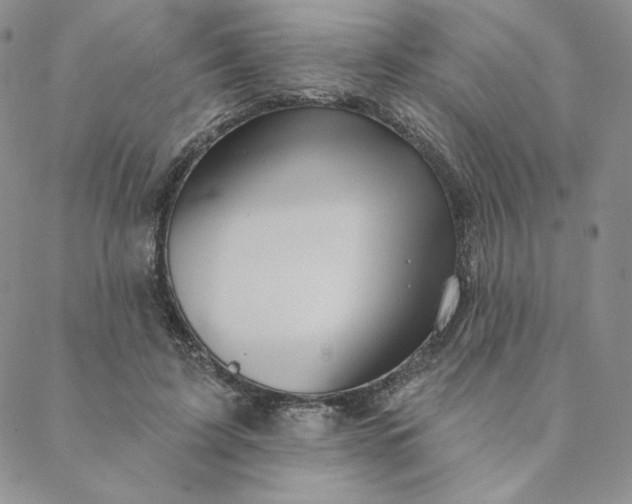 X0000088590595200706081330