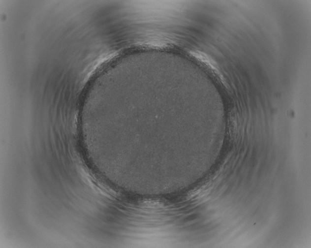 X0000088590596200706081330