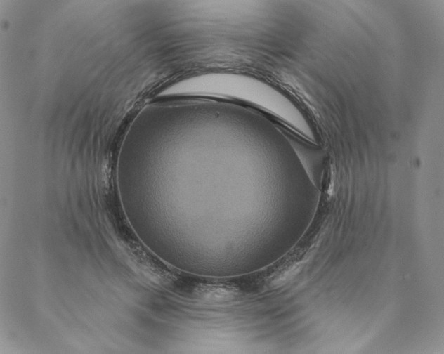 X0000088590597200706081330