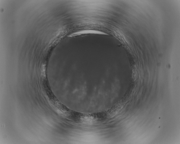 X0000088590598200706081330