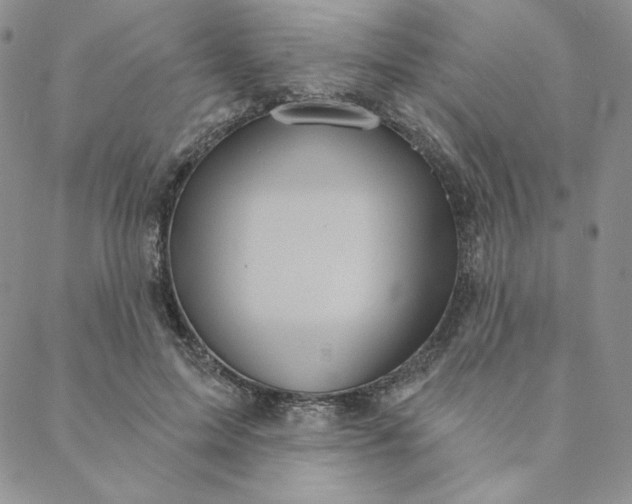 X0000088590599200706081330