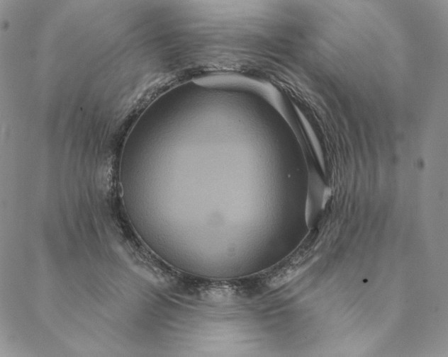 X0000088590600200706081330