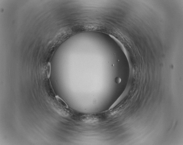 X0000088590601200706081330