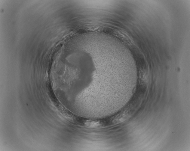 X0000088590602200706081330