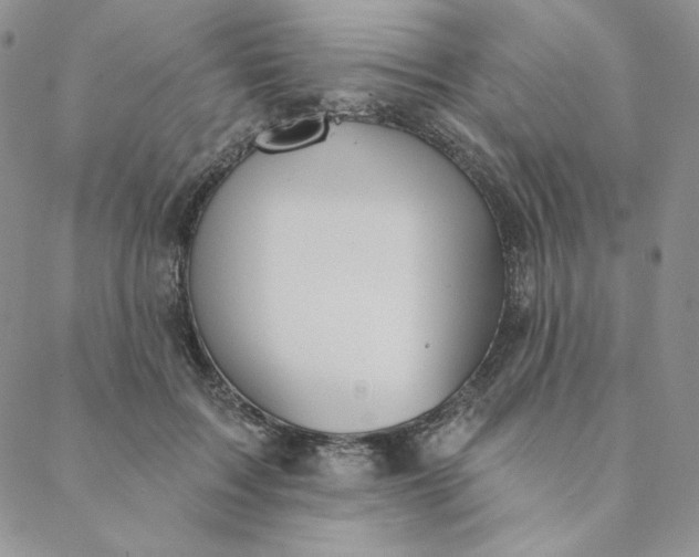 X0000088590603200706081330